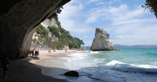 Coromandel Day Tour - Photo 1 of 1